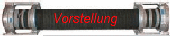 Vorstellung