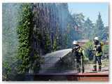 Die Hecke brannte in voller Ausdehnung
